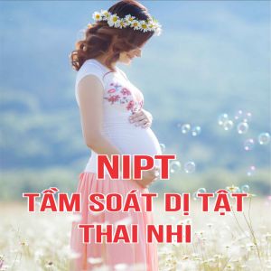 Xét Nghiệm Sàng Lọc Trước Sinh NIPT