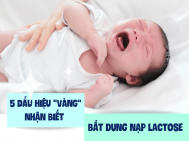 Tìm hiểu hội chứng bất dung nạp đường Lactose ở trẻ sơ sinh