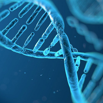 Locus gen được sử dụng trong xét nghiệm ADN như thế nào